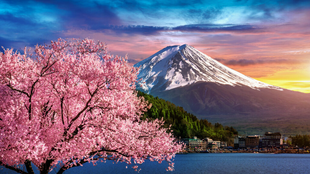 Mount Fuji and cherry blossoms in Japan